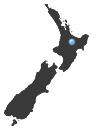 Solitaire Lodge NZ Peninsula Image 7